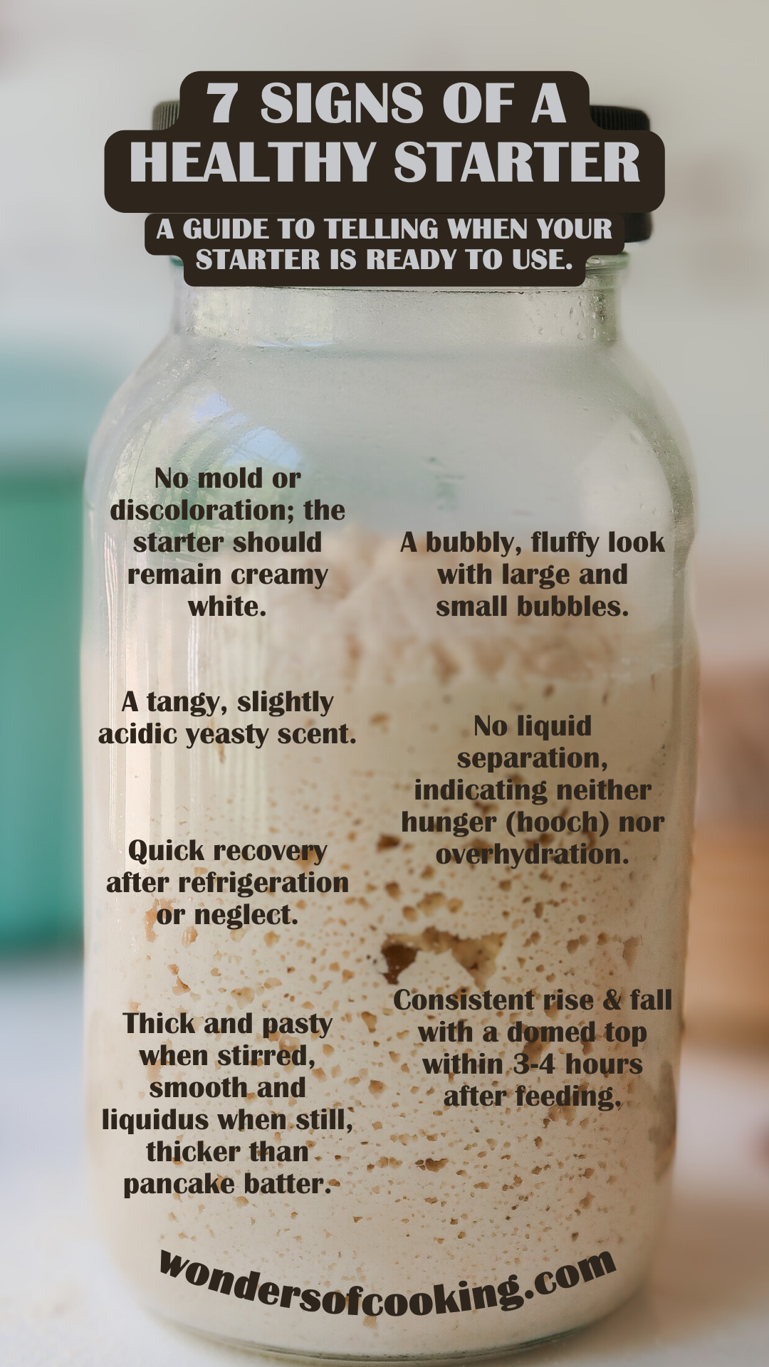How do you know when your sourdough starter is ready?