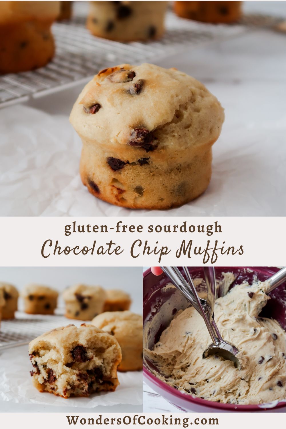 Gluten Free Sourdough Chocolate Chip Muffins by Wonders of Cooking food blog