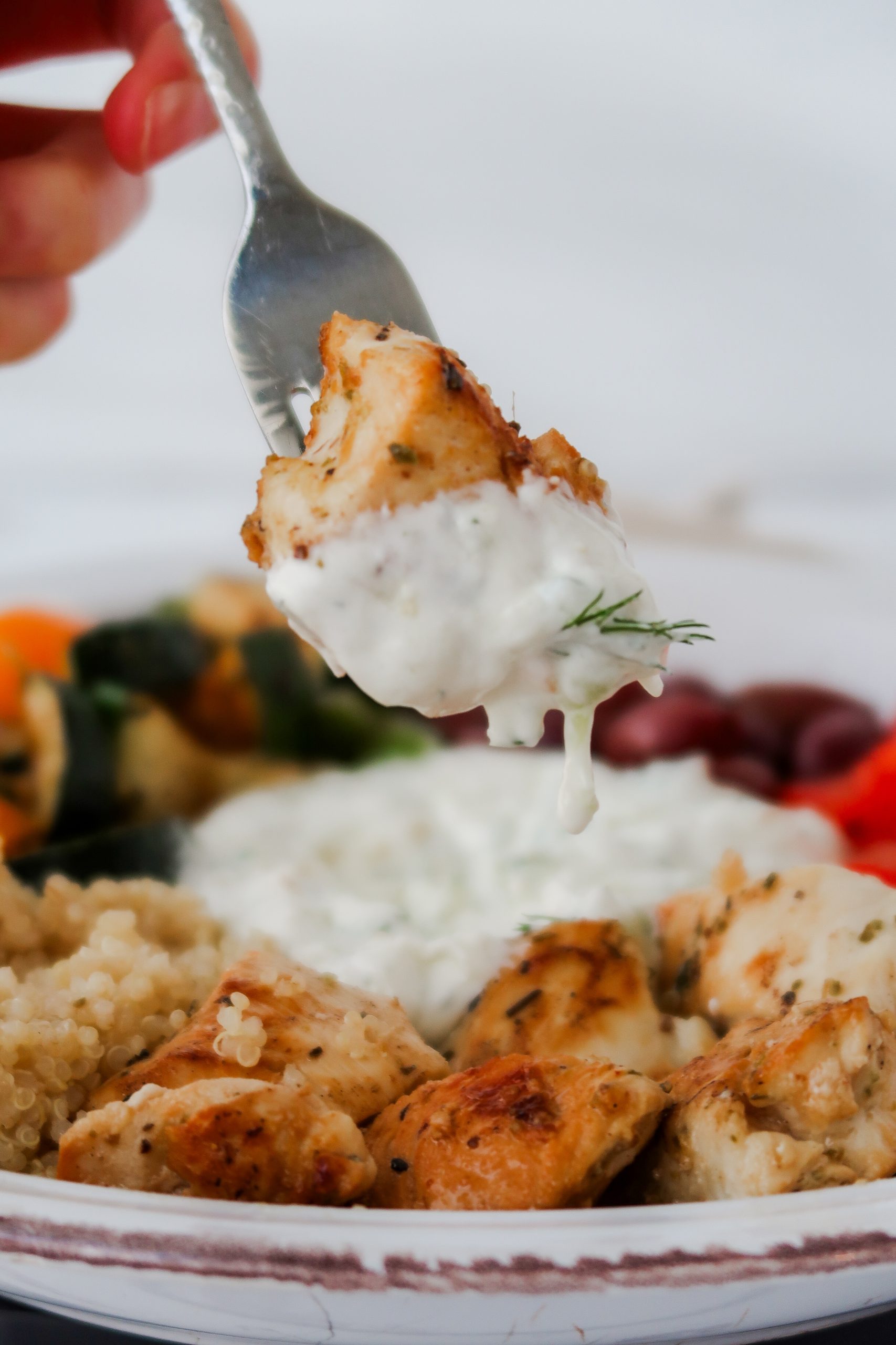 Tzatziki Sauce Recipe Wonders of Cooking food blog