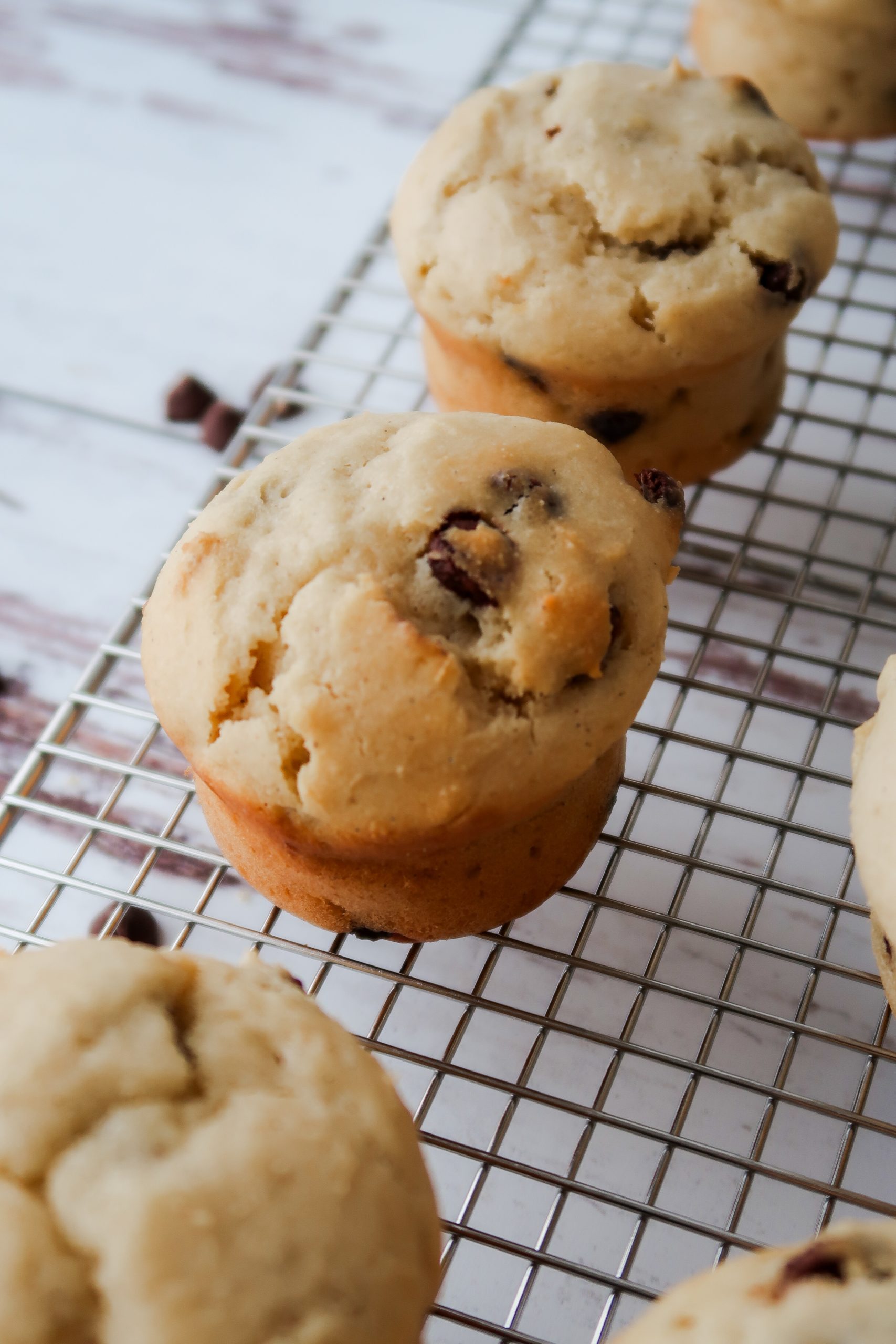 Gluten Free Sourdough Chocolate Chip Muffins by Wonders of Cooking food blog