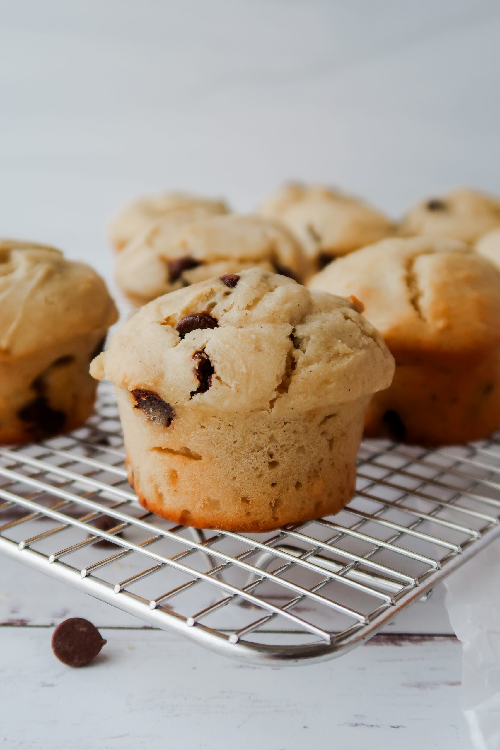 Gluten Free Sourdough Chocolate Chip Muffins by Wonders of Cooking food blog