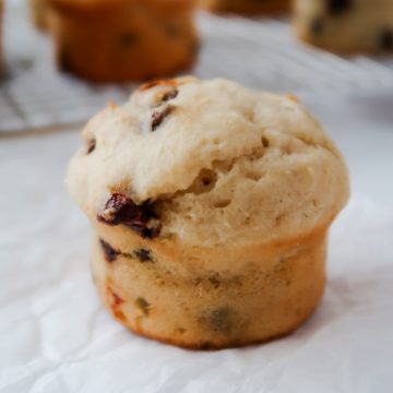 Gluten Free Sourdough Chocolate Chip Muffins