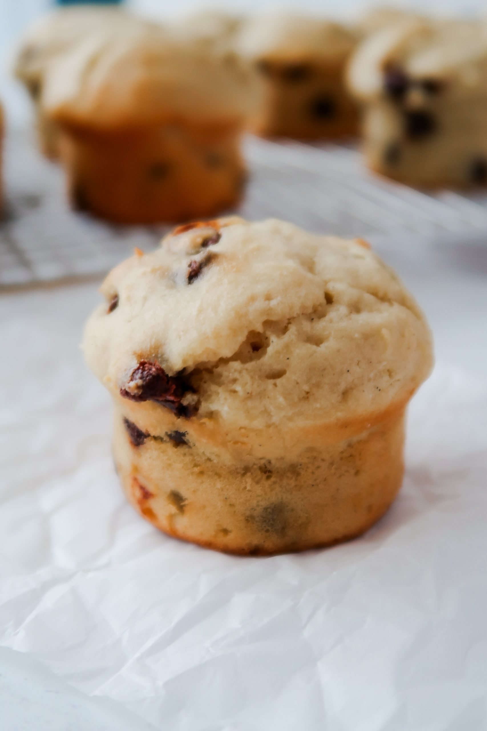 Gluten Free Sourdough Chocolate Chip Muffins by Wonders of Cooking food blog