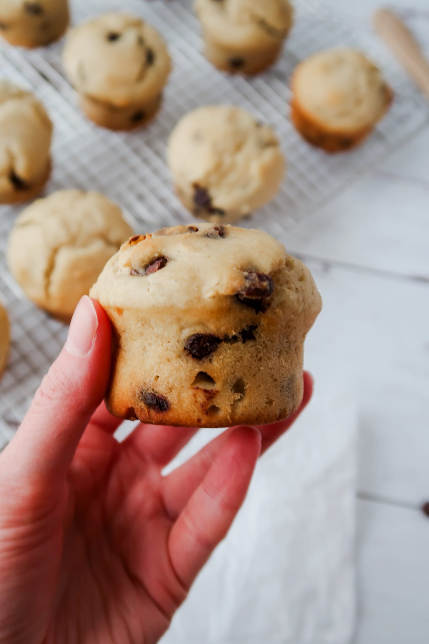 Gluten Free Sourdough Chocolate Chip Muffins by Wonders of Cooking food blog