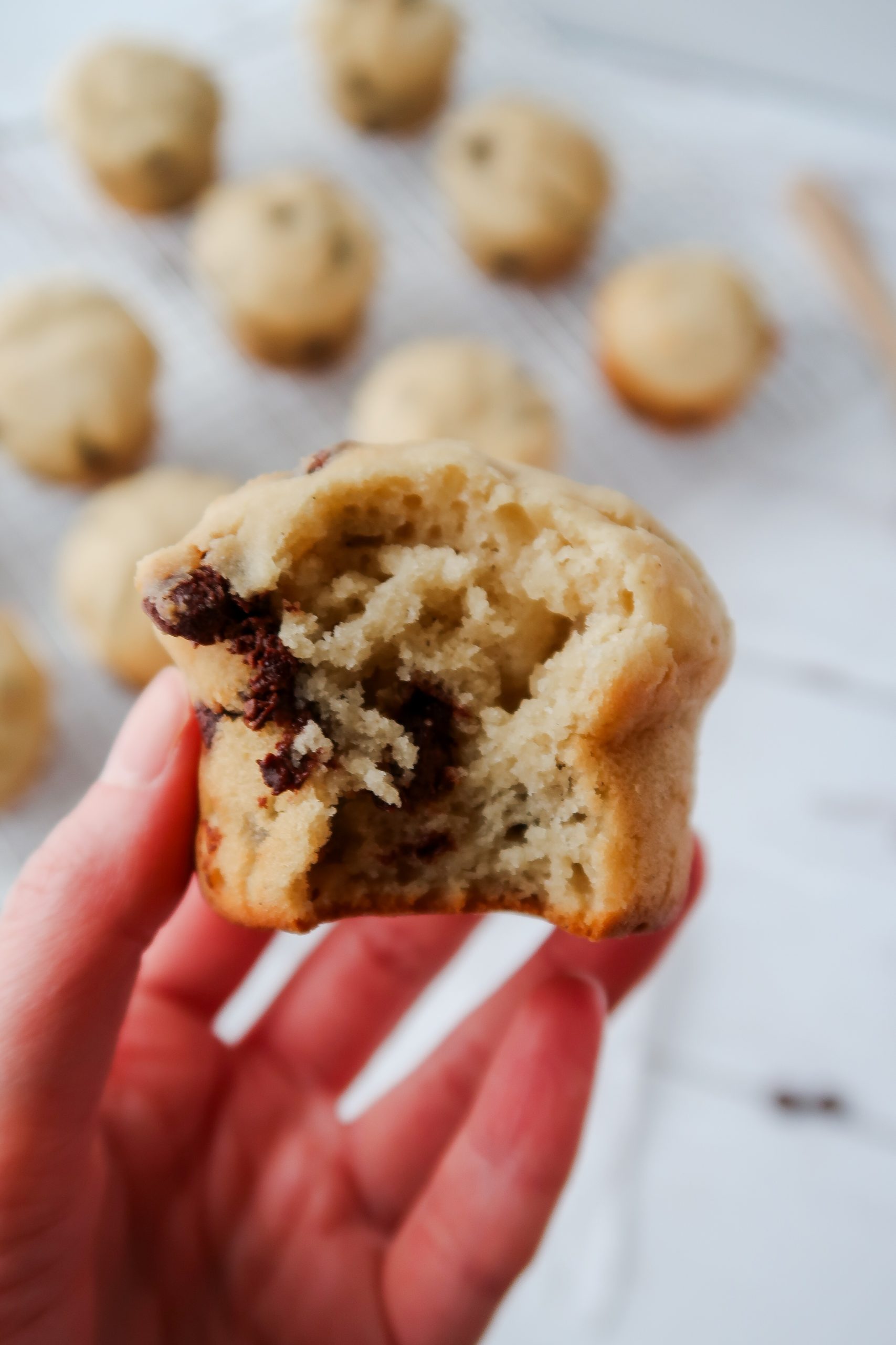 Gluten Free Sourdough Chocolate Chip Muffins by Wonders of Cooking food blog