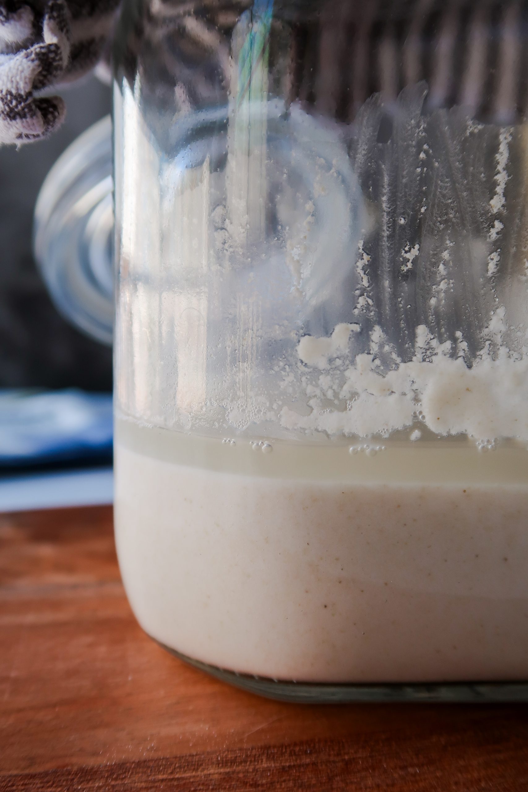 A layer of water separation on top of a gluten free sourdough starter