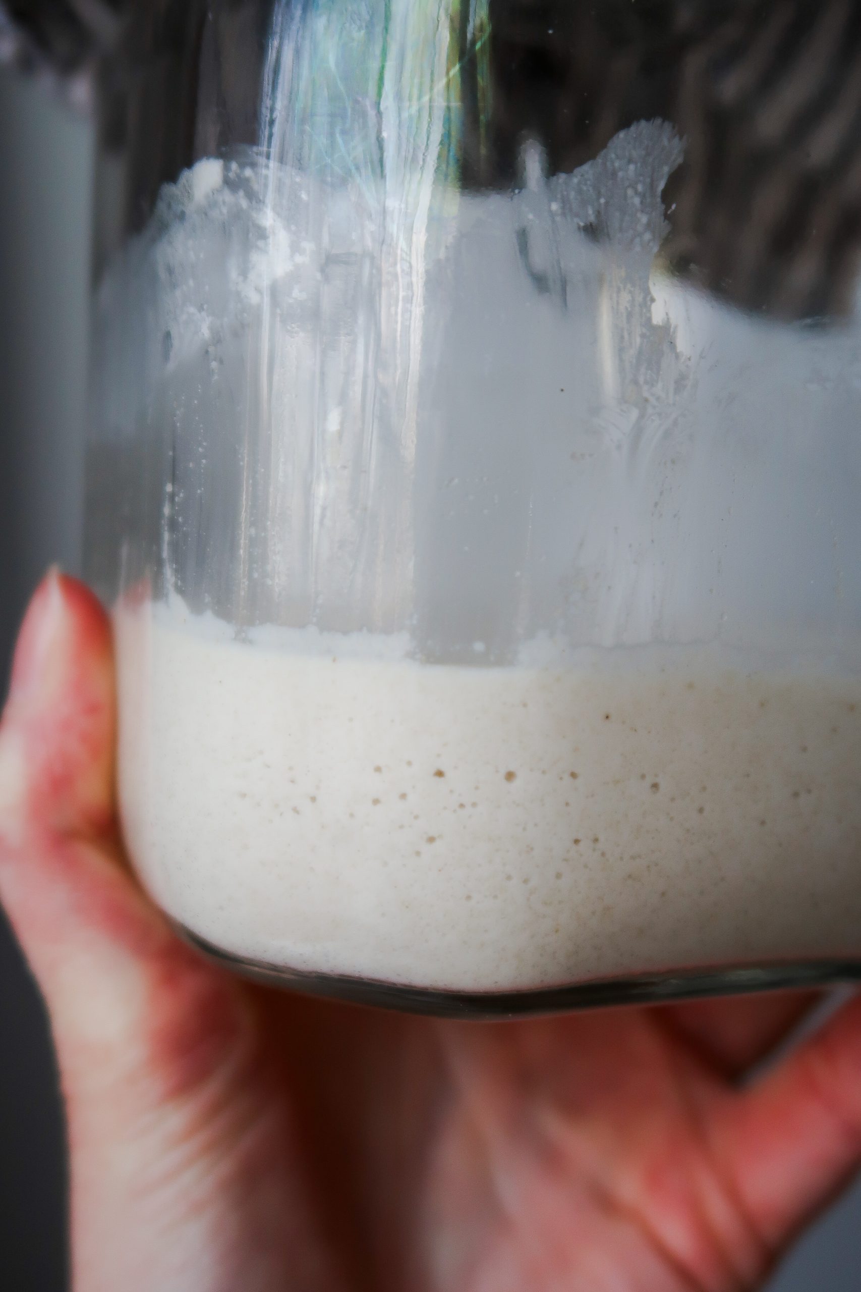 First bubbles in a gluten free sourdough starter. Wonders of Cooking