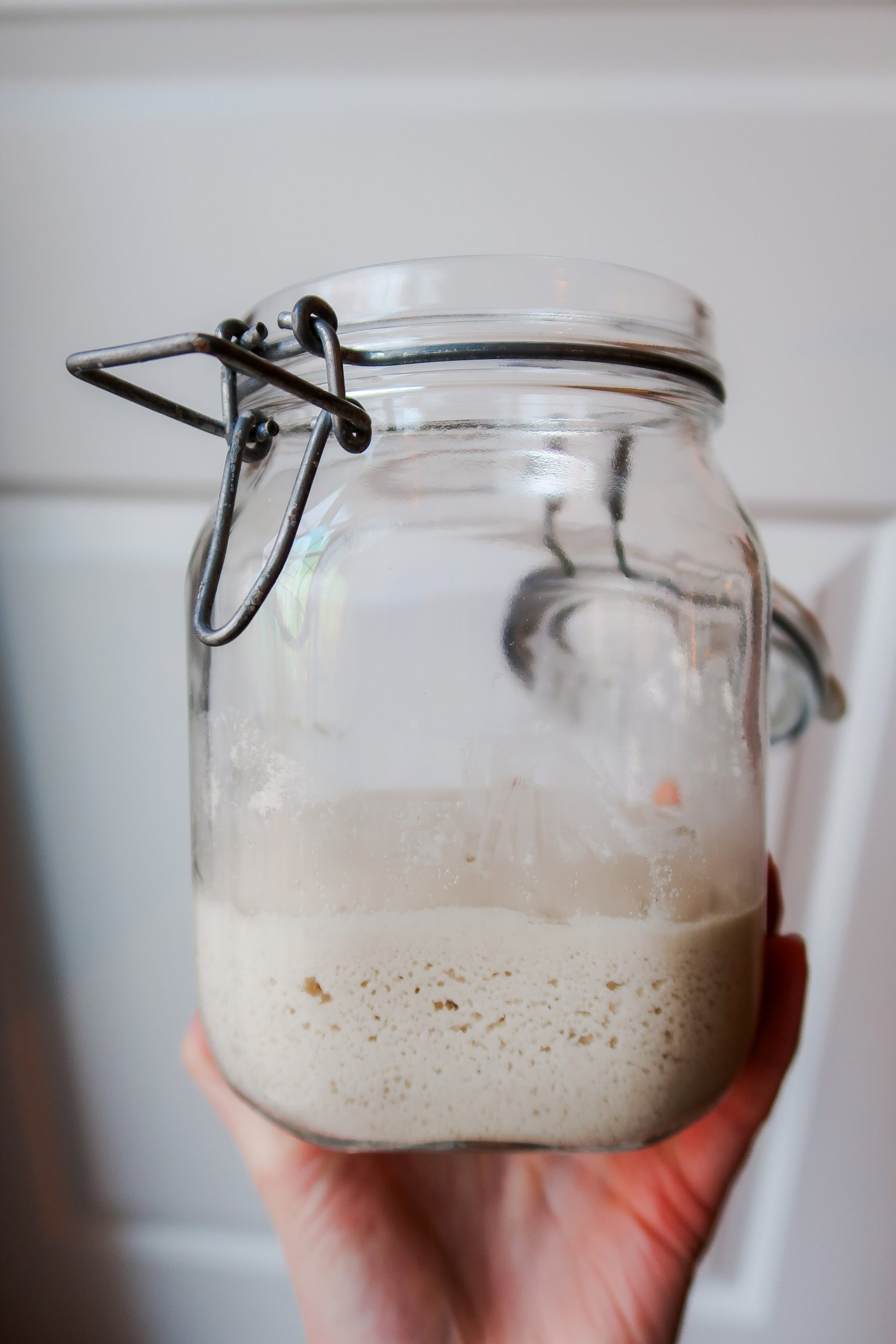 A jar of bubbly gluten free sourdough starter. Cultures for Health Gluten Free Sourdough Starter Recipe Wonders of Cooking