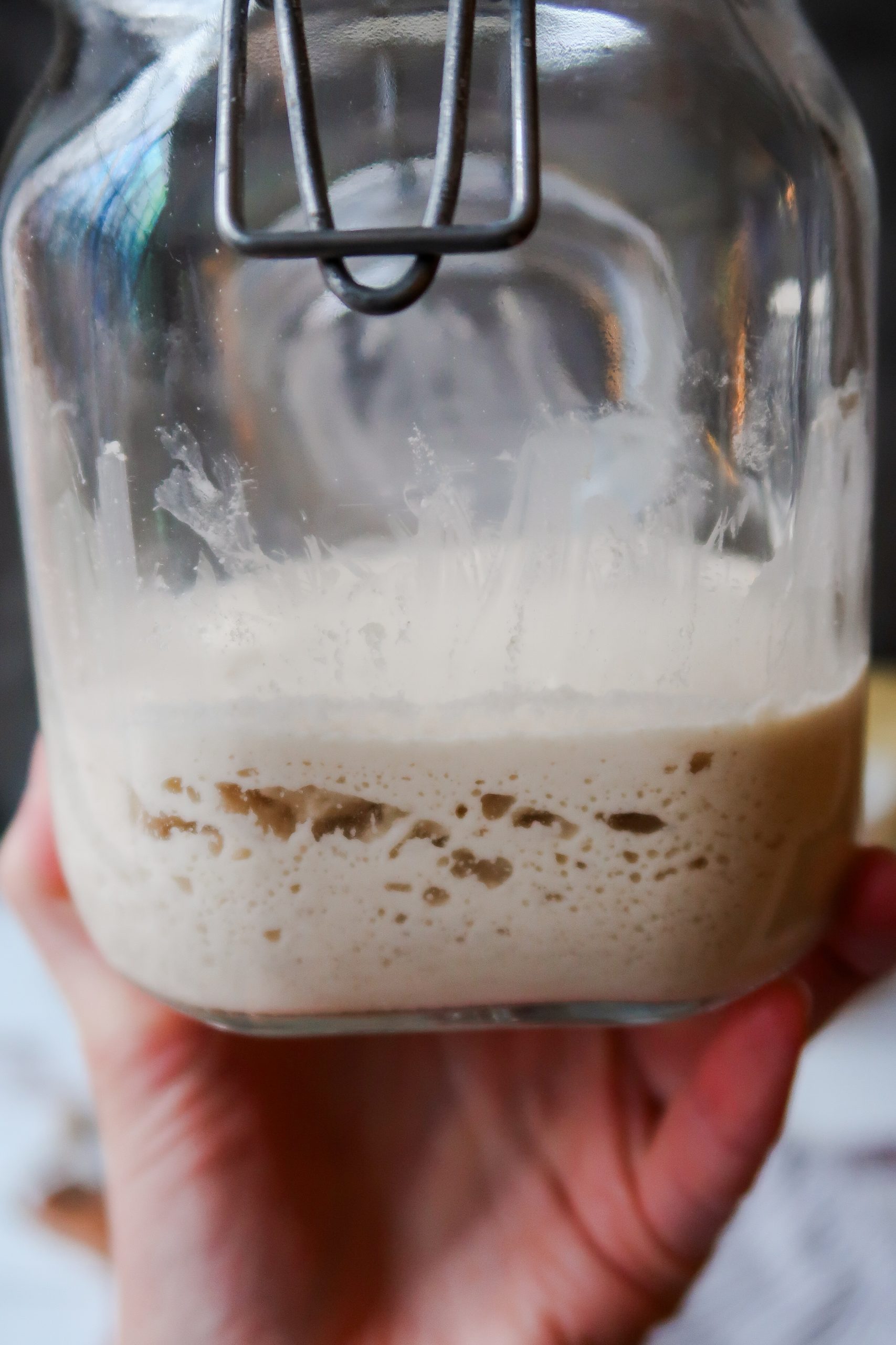 Large bubbles in a gluten free sourdough starter. Cultures for Health Gluten Free Sourdough Starter Recipe. Wonders of Cooking