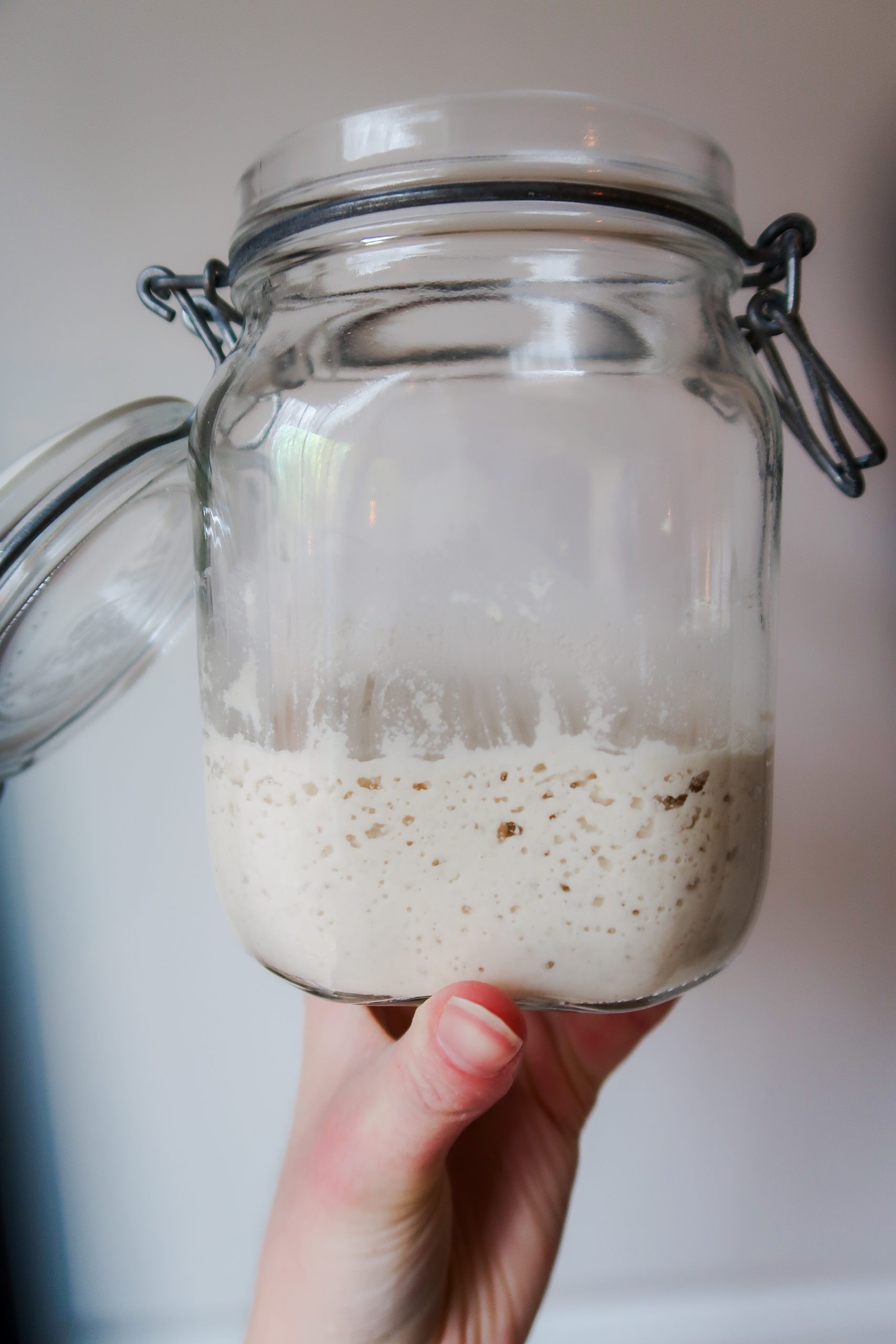 Cultures for Health Gluten Free Sourdough Starter Recipe. Wonders of Cooking