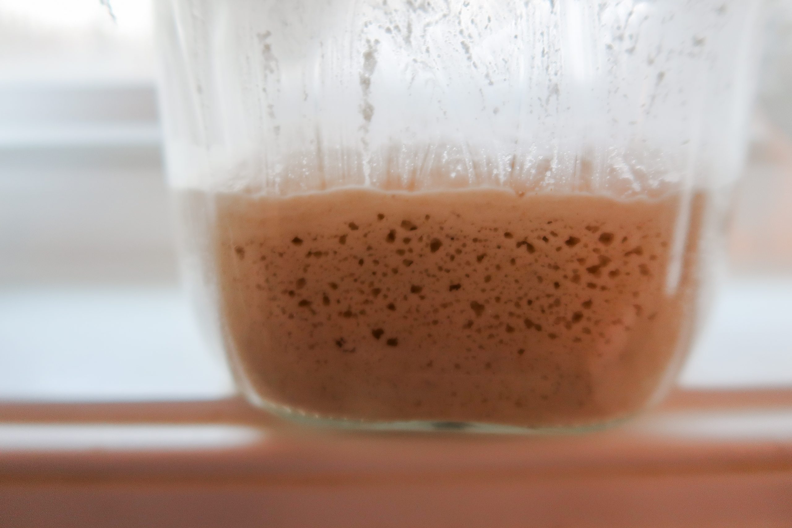Cultures for Health Gluten Free Sourdough Starter Recipe. Wonders of Cooking How to Make a Gluten Free Sourdough Starter.