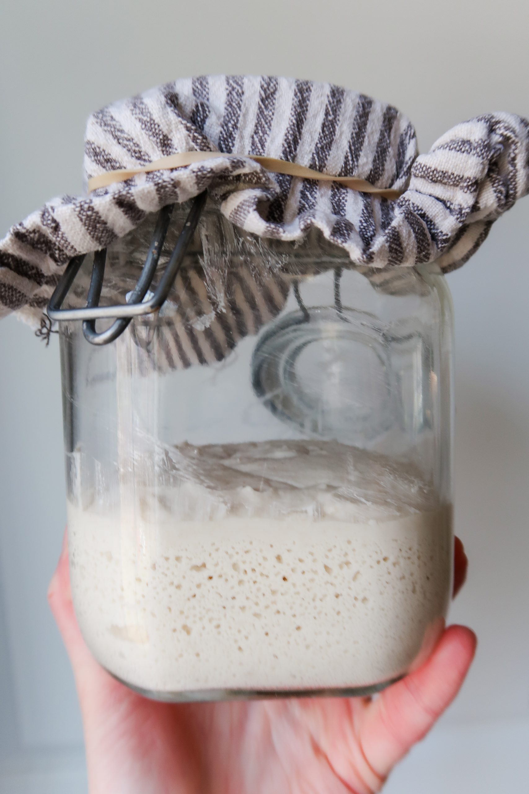 A bubbly gluten free sourdough starter that has risen. It has a domed top. Cultures for Health Gluten Free Sourdough Starter Recipe. Wonders of Cooking