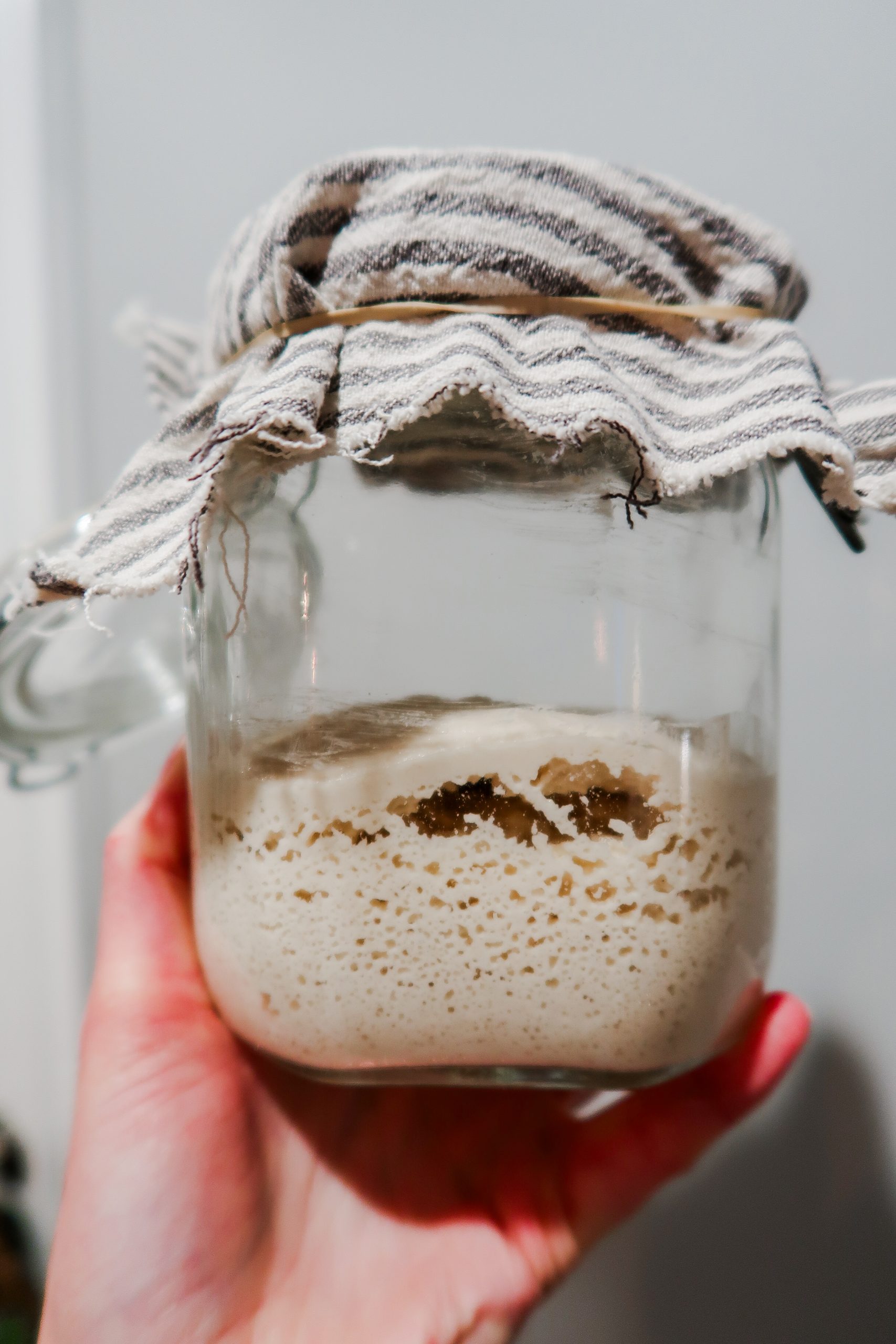 Cultures for Health Gluten Free Sourdough Starter Recipe. Brown rice starter. Wonders of Cooking.