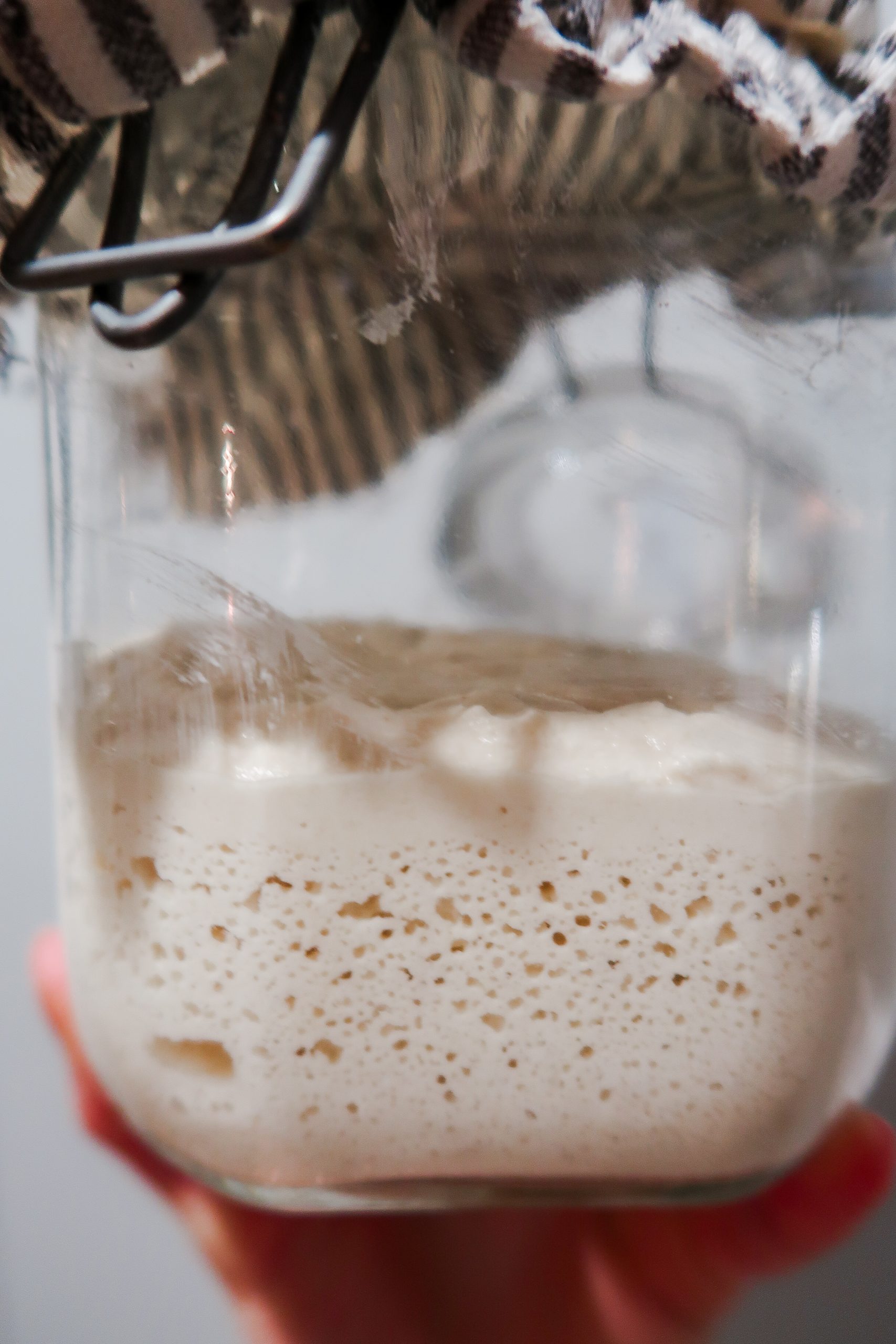 Cultures for Health Gluten Free Sourdough Starter Recipe. How to make a gluten free sourdough starter. Wonders of Cooking.