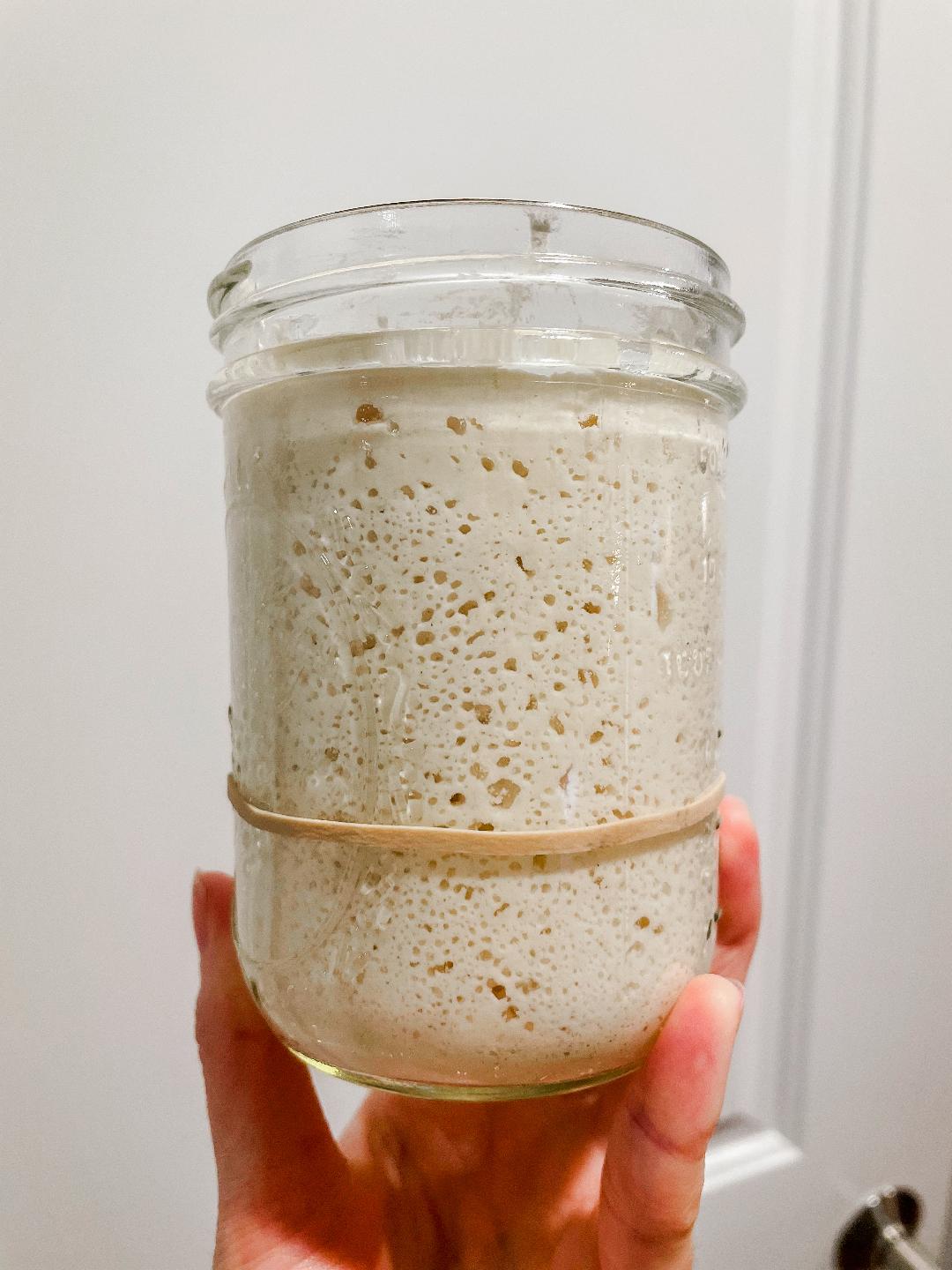 Cultures for Health Gluten Free Sourdough Starter Recipe. Wonders of Cooking