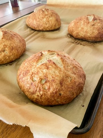 Gluten Free Sourdough Bread Bowl Recipe