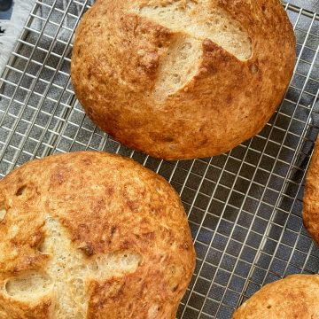 Gluten Free Sourdough Bread Bowl Recipe